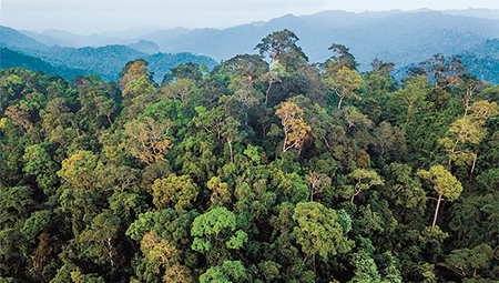 Map Thailand dawna tenasserim landscape
